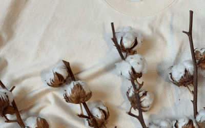 NATURAL RAW COTTON BY STANLEY STELLA